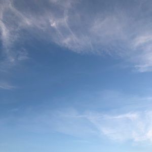 Meet your Posher, Torrey